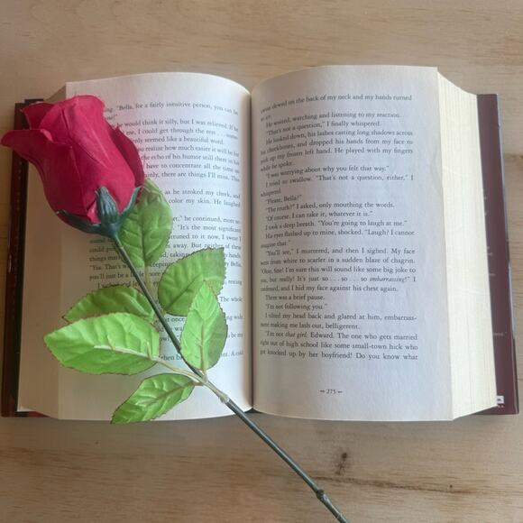 First Edition ECLIPSE ( Hardcover ) by Stephanie Meyer. 2007 . Book 3 of 5. - Picture 10 of 15